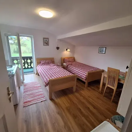 Apartment Sonniges Und Gaestezimmer, Haus Borowiec