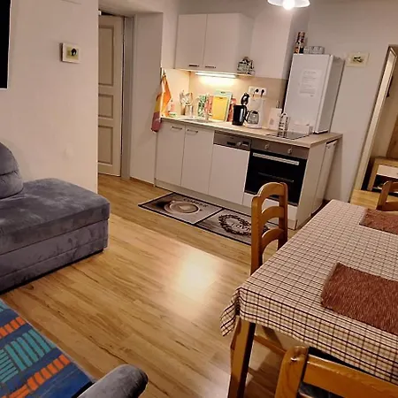 Sonniges Und Gaestezimmer, Haus Borowiec Apartment *