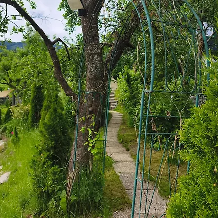 Apartment Sonniges Und Gaestezimmer, Haus Borowiec *